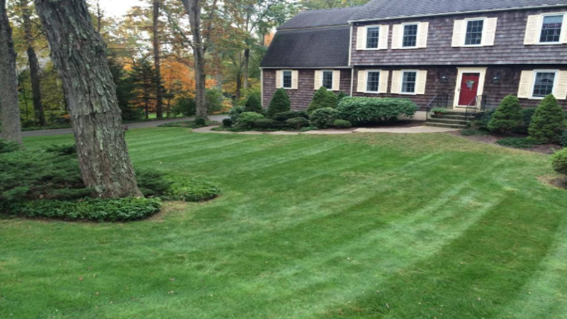 Landscape Designer in Glenview, Illinois: Reasons Why You Need One