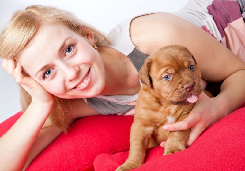 The Advantages of Training Puppies in Chicago, Illinois