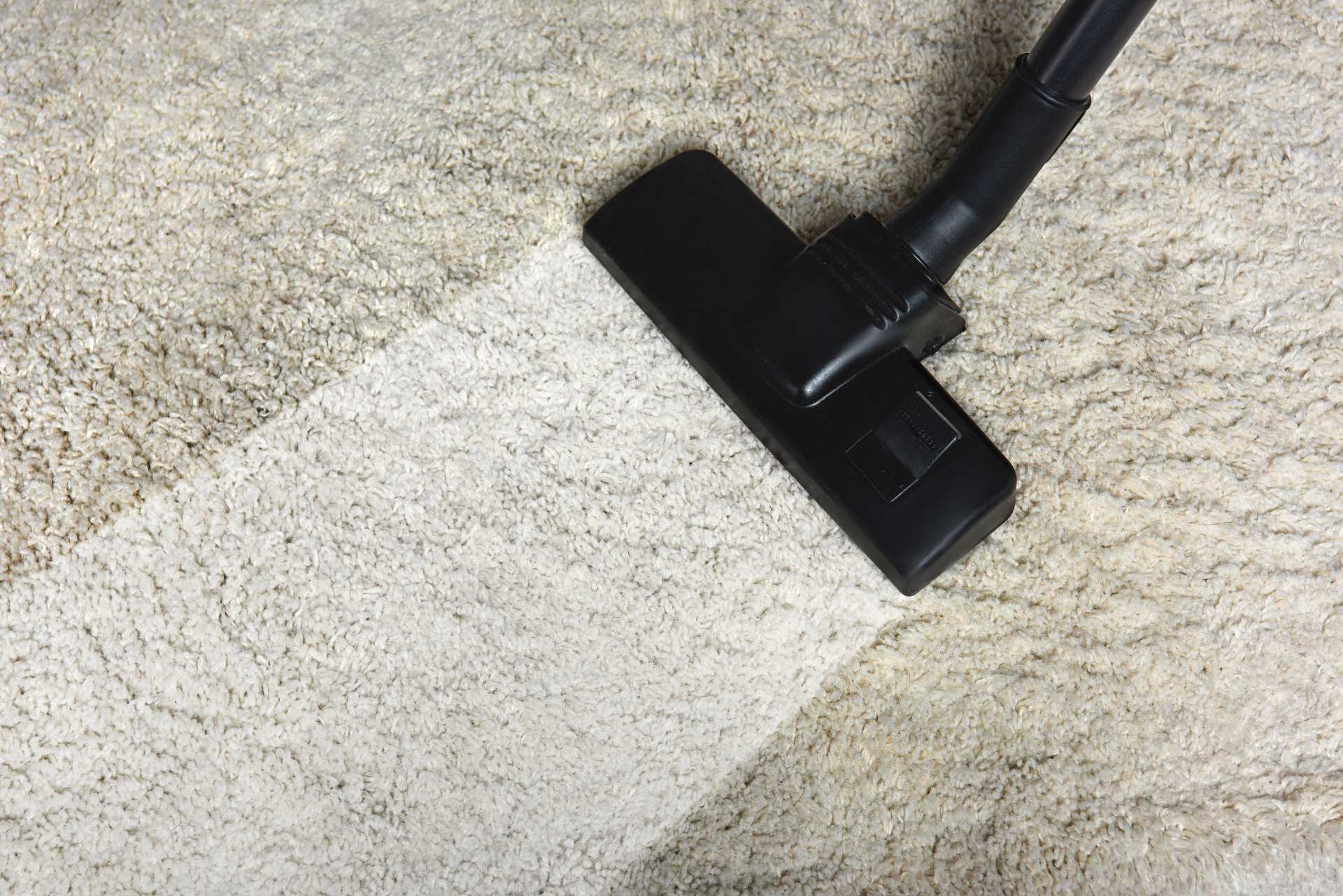 Finding Carpet Cleaning Services Near Thornton, CO