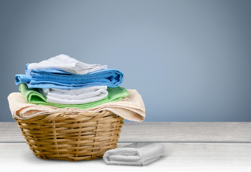 Reasons Why College Students Rely On Laundry Service In Jacksonville, FL