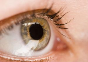 What Is an Eye Clinic in Dearborn, MI?