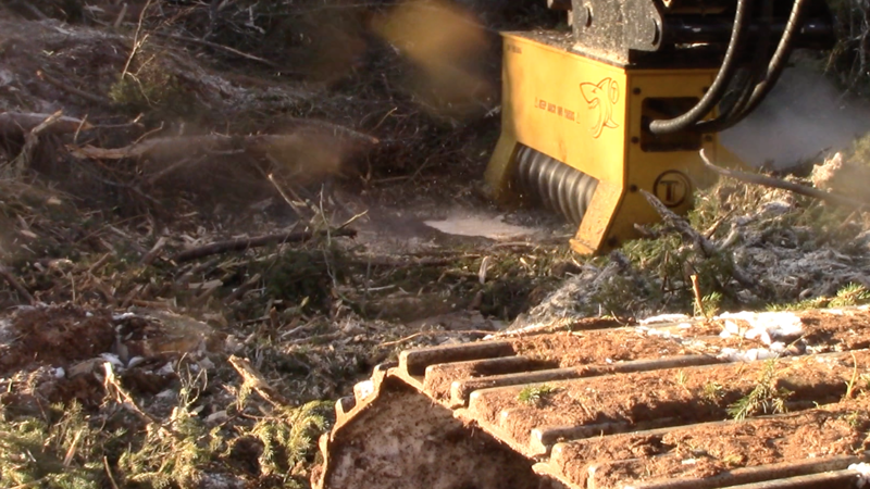 Why You Should Buy an Excavator Mulching Head