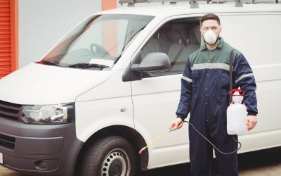 Effective professional pest control services in Minnesota: what you need to know